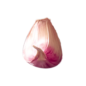 Ingrédient
