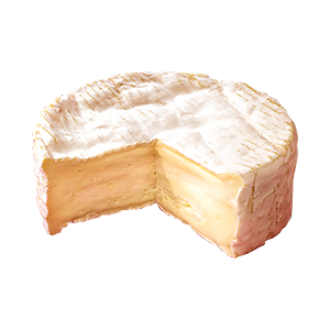 Ingrédient