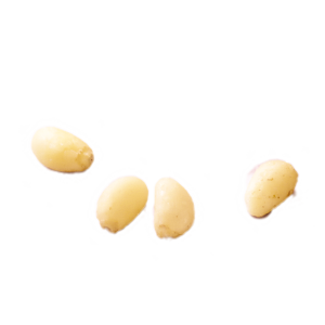 Ingrédient